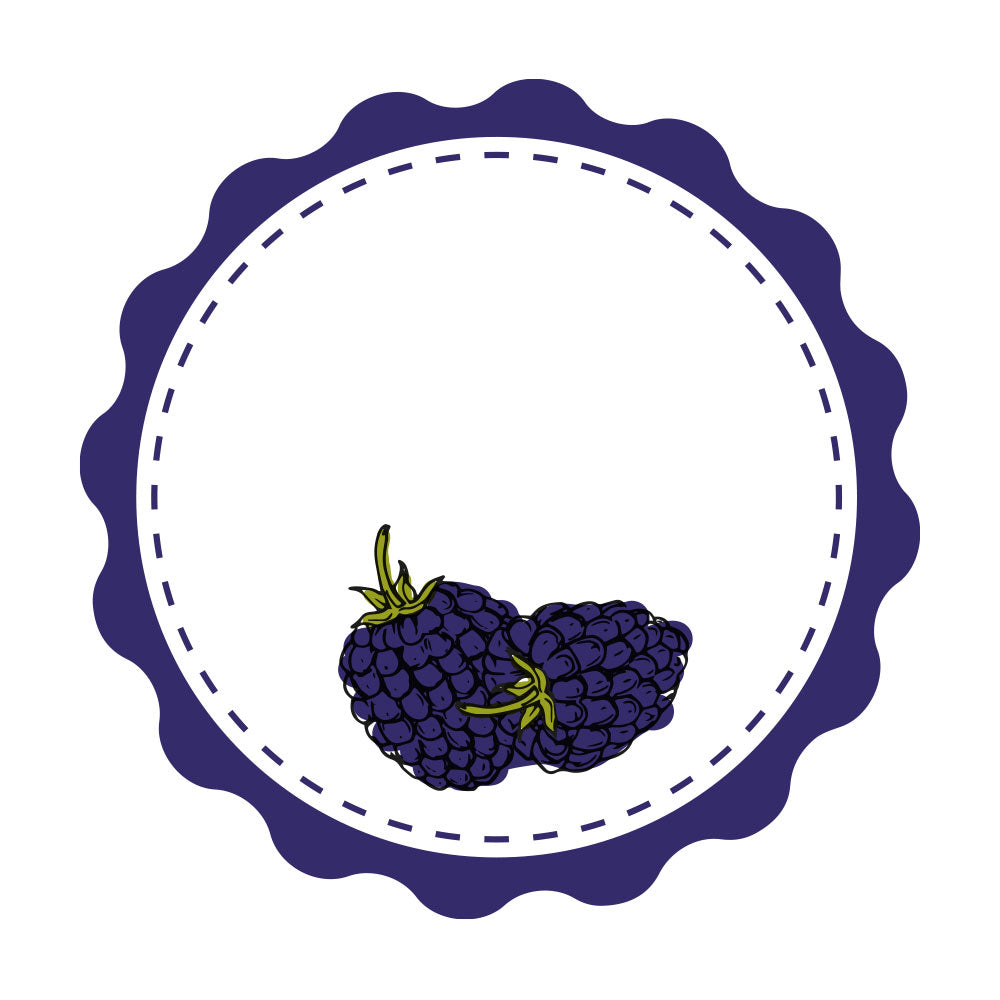 Marmeladenetiketten Set mit Brombeerzeichnung, verschiedene Motive, 3 Bögen, 200x300 mm, für kreative Verpackungen
