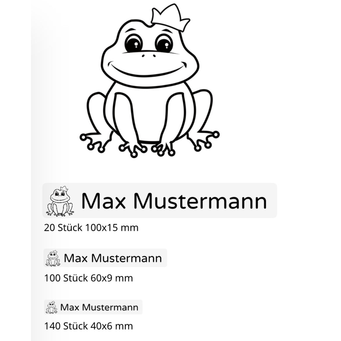Set mit 260 transparenten Namensaufklebern für Kinder in drei Größen, ideal zum Personalisieren und Kennzeichnen.