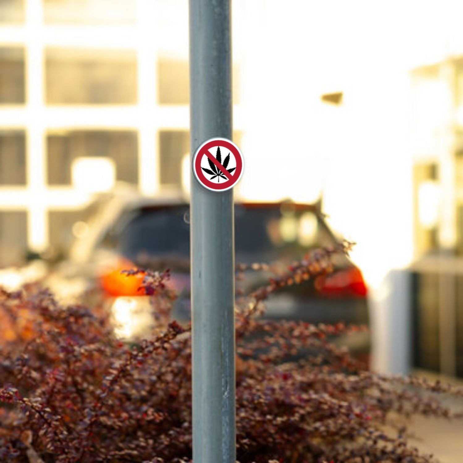 Alu-Verbund Cannabis Schild mit 10 cm Durchmesser, verbotenes Motiv, langlebiges Werbeschild in schwarzer und weißer Gestaltung