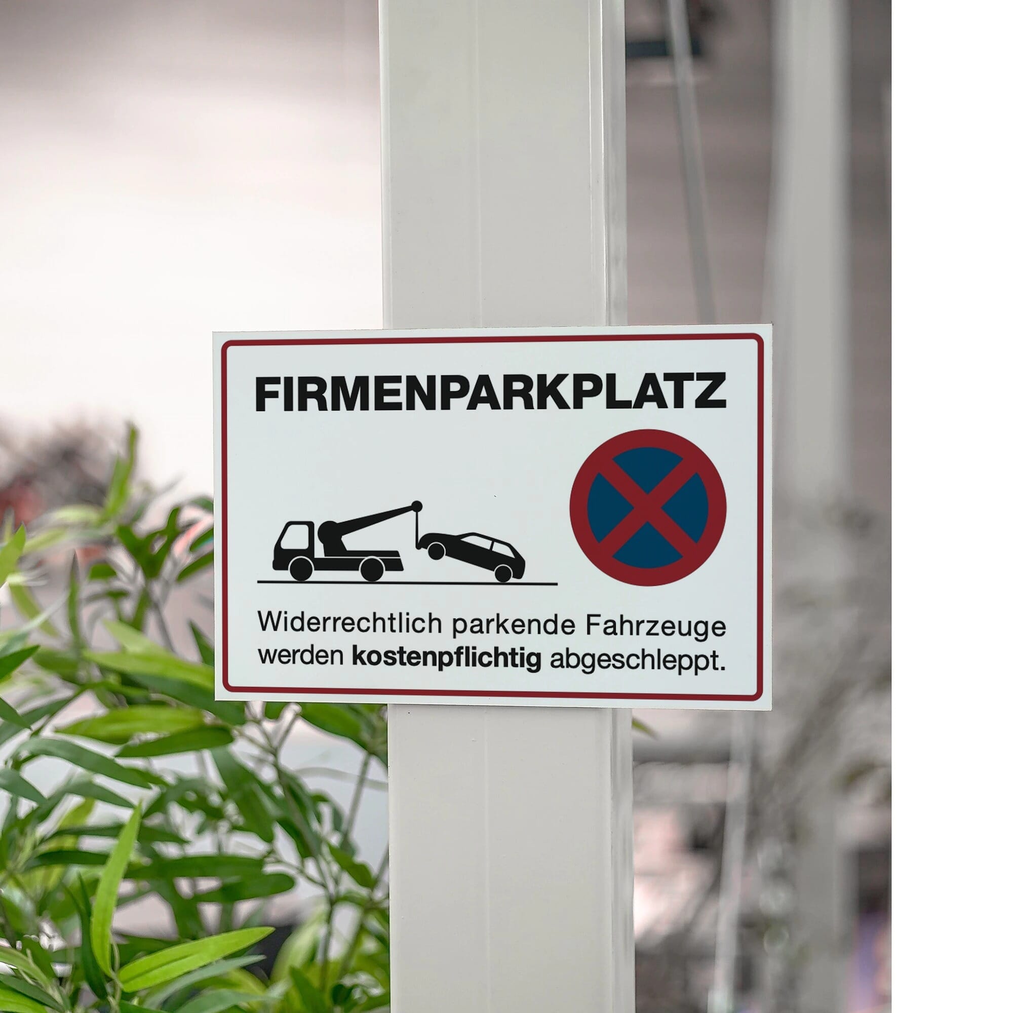 Weiße Alu-Verbundschild für Privat- und Firmenparkplätze, 200x300 mm, mit klarer Beschriftung, von aufkleberdrucker.de