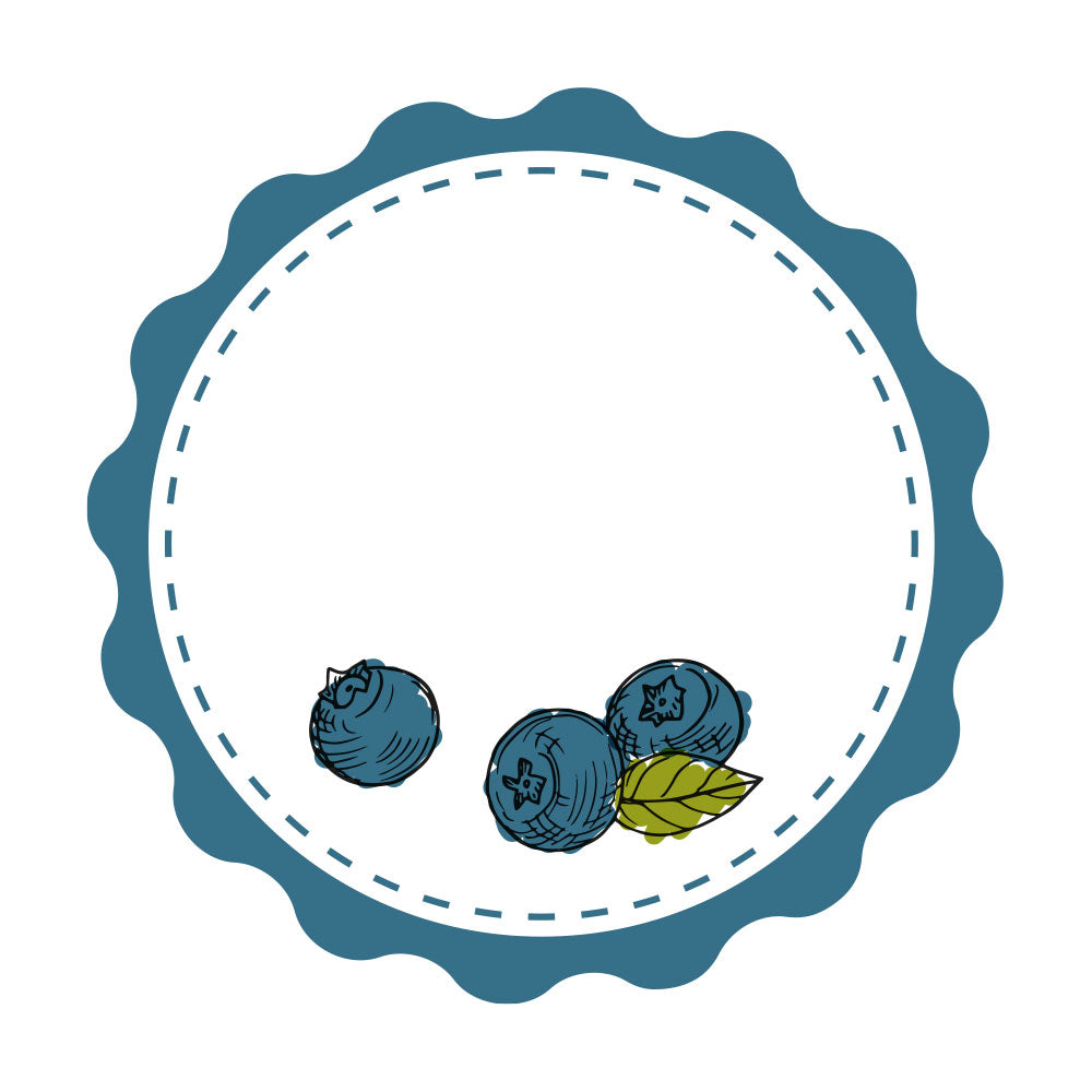 Marmeladenetiketten Set mit Blaubeeren-Motiv, 3 Bögen, kreative Gestaltung für selbstgemachte Marmeladen, aufkleberdrucker.de