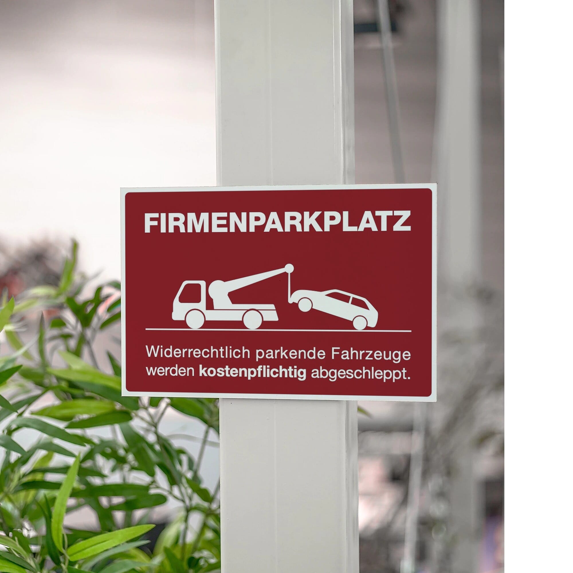 Rotes Aluminium-Verbundschild für Firmenparkplatz mit 200x300 mm, wetterfest, aufkleberdrucker.de
