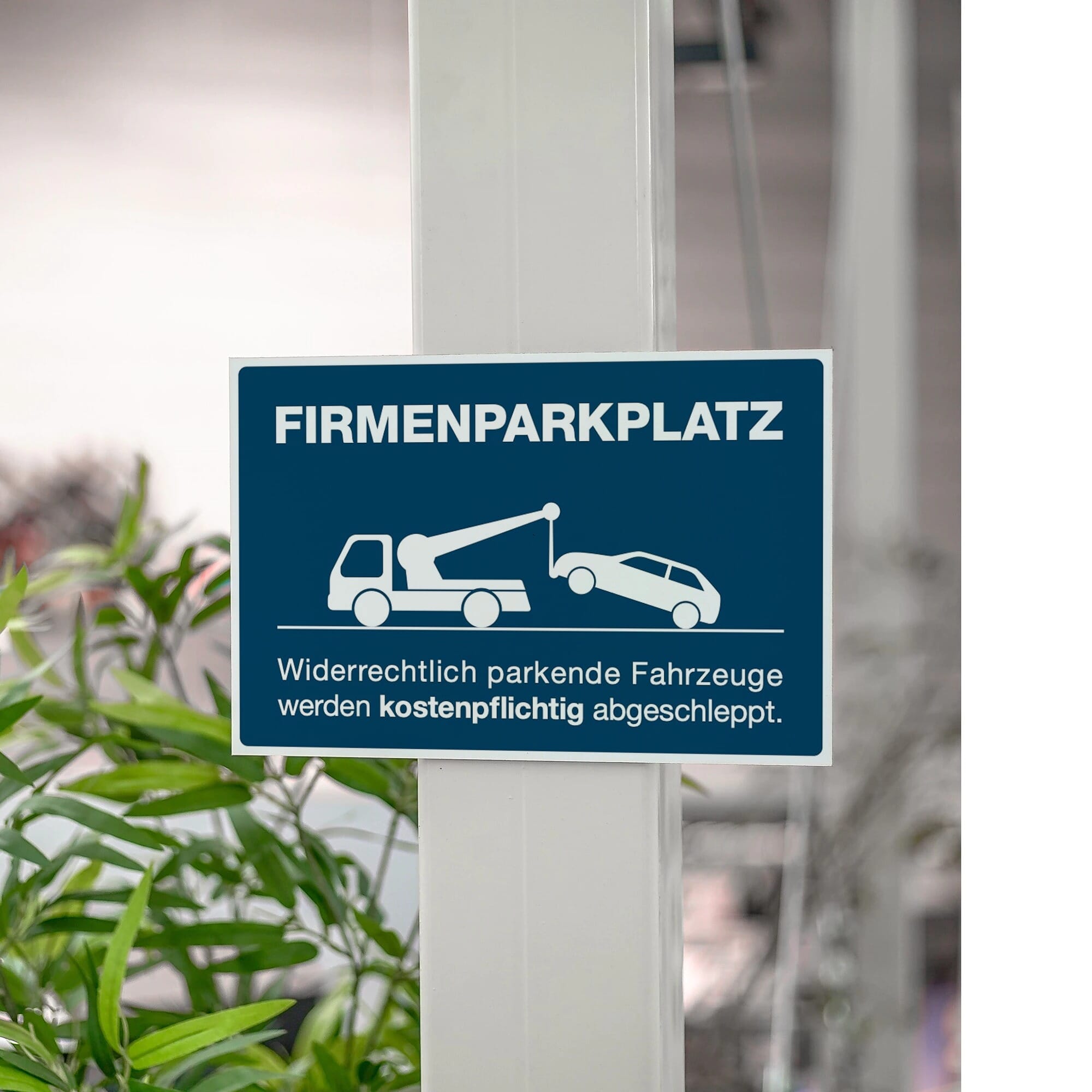 Schild Alu-Verbund Firmenparkplatz (signablau, 200x300x4 mm)
