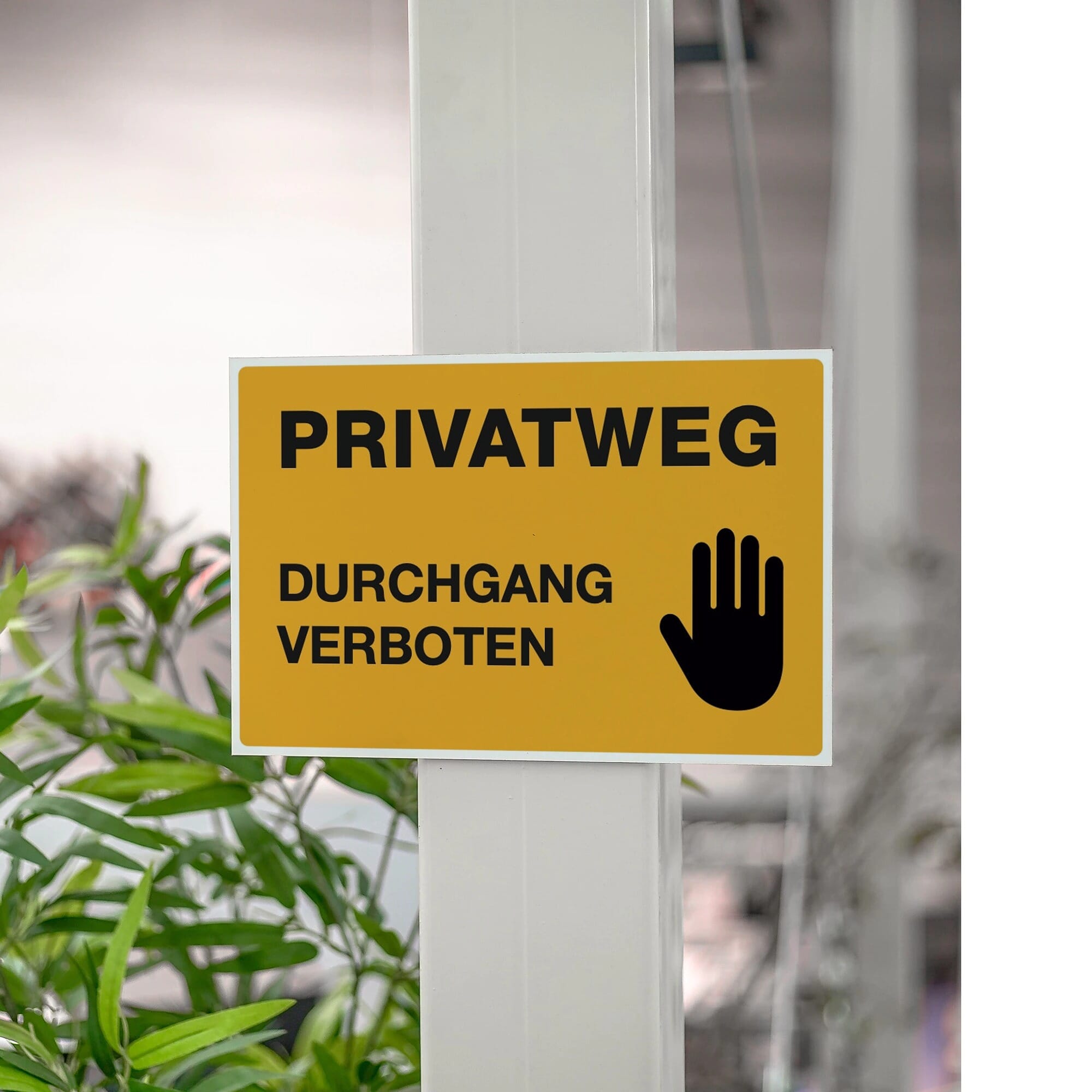 Gelbes Alu-Verbundschild "Privatweg - Durchgang Verboten" mit 300x200mm, wetterfest und robust.